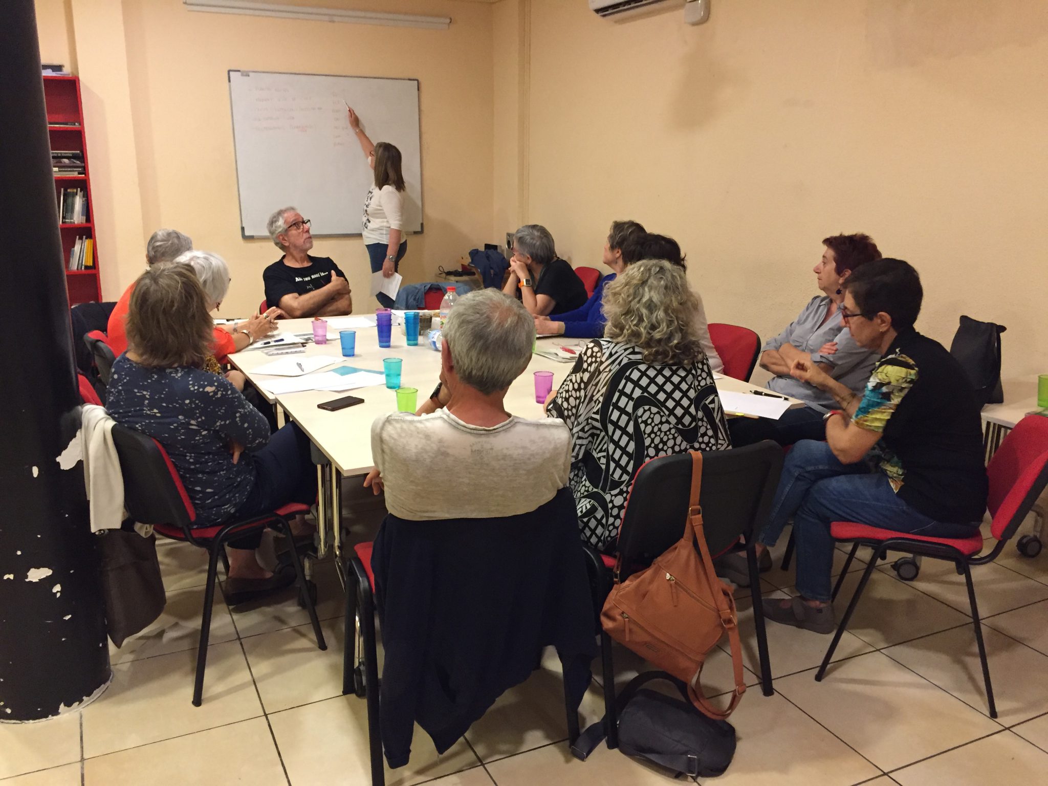 Accounting and facilitating the creation of a care model for the senior cohousing initiative Can 70