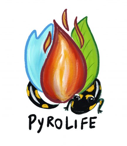 PyroLife 