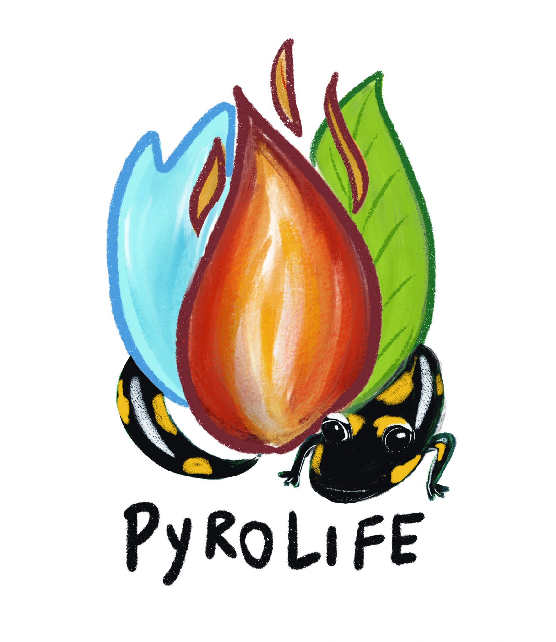 PyroLife – training a new generation of interdisciplinary experts in holistic fire management