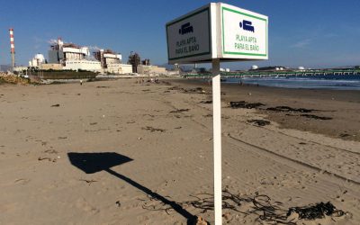 Israel Rodríguez-Giralt presenta el capítol “Coreografías del abandono: Cuidado y toxicidad en zonas de sacrificio”