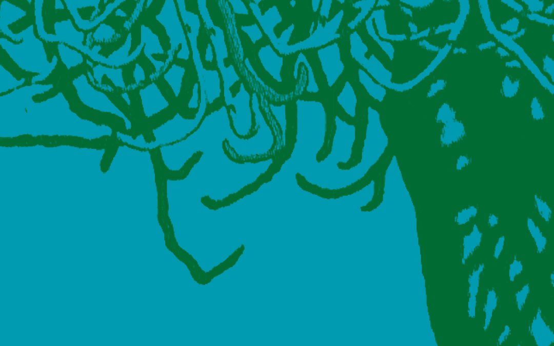 Patrimonialització de la naturalesa. Aportacions des de l’Antropologia Ambiental