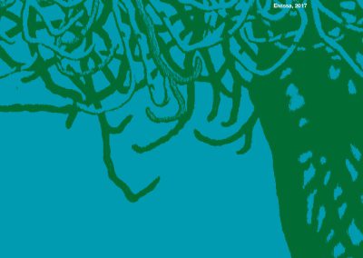 Patrimonialització de la naturalesa. Aportacions des de l’Antropologia Ambiental