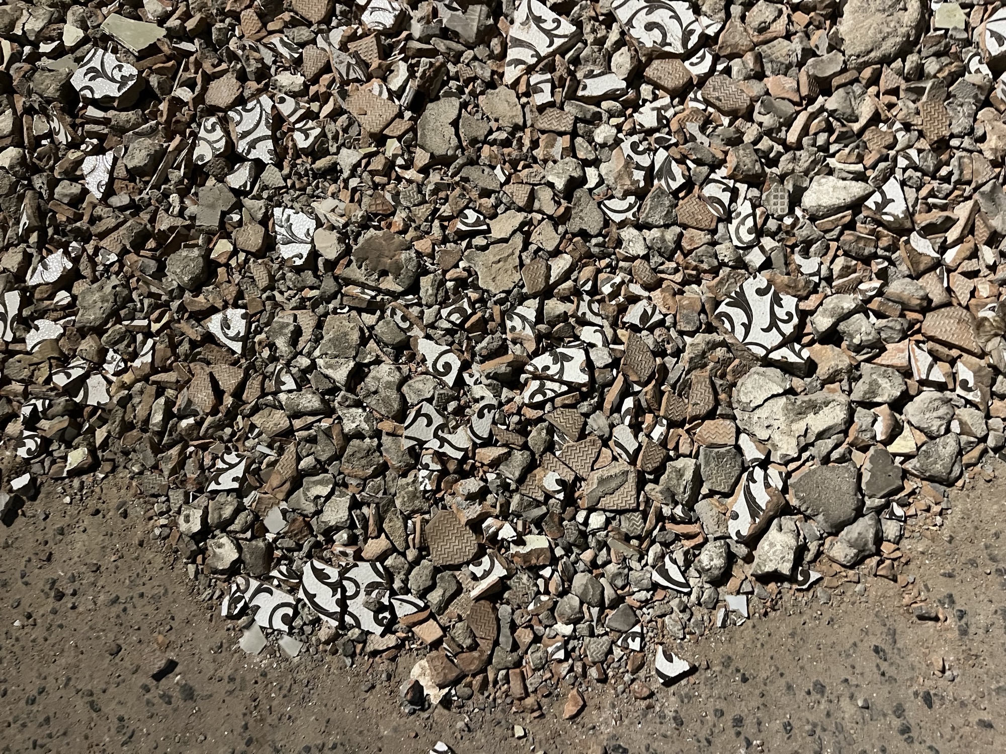 Seminar by Anand Pandian (JHU): “Rot and Renewal: Crafting Ecological Futures in the Face of Decay”