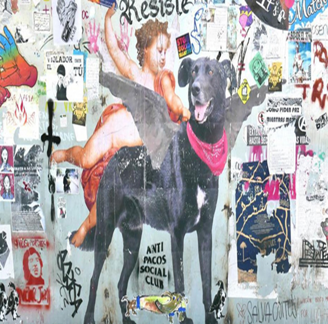 Seminario de Arthur Arruda Leal Ferreira (UFRJ): “La guerra por otros modos y especies: ¿lo que puede un perro?”